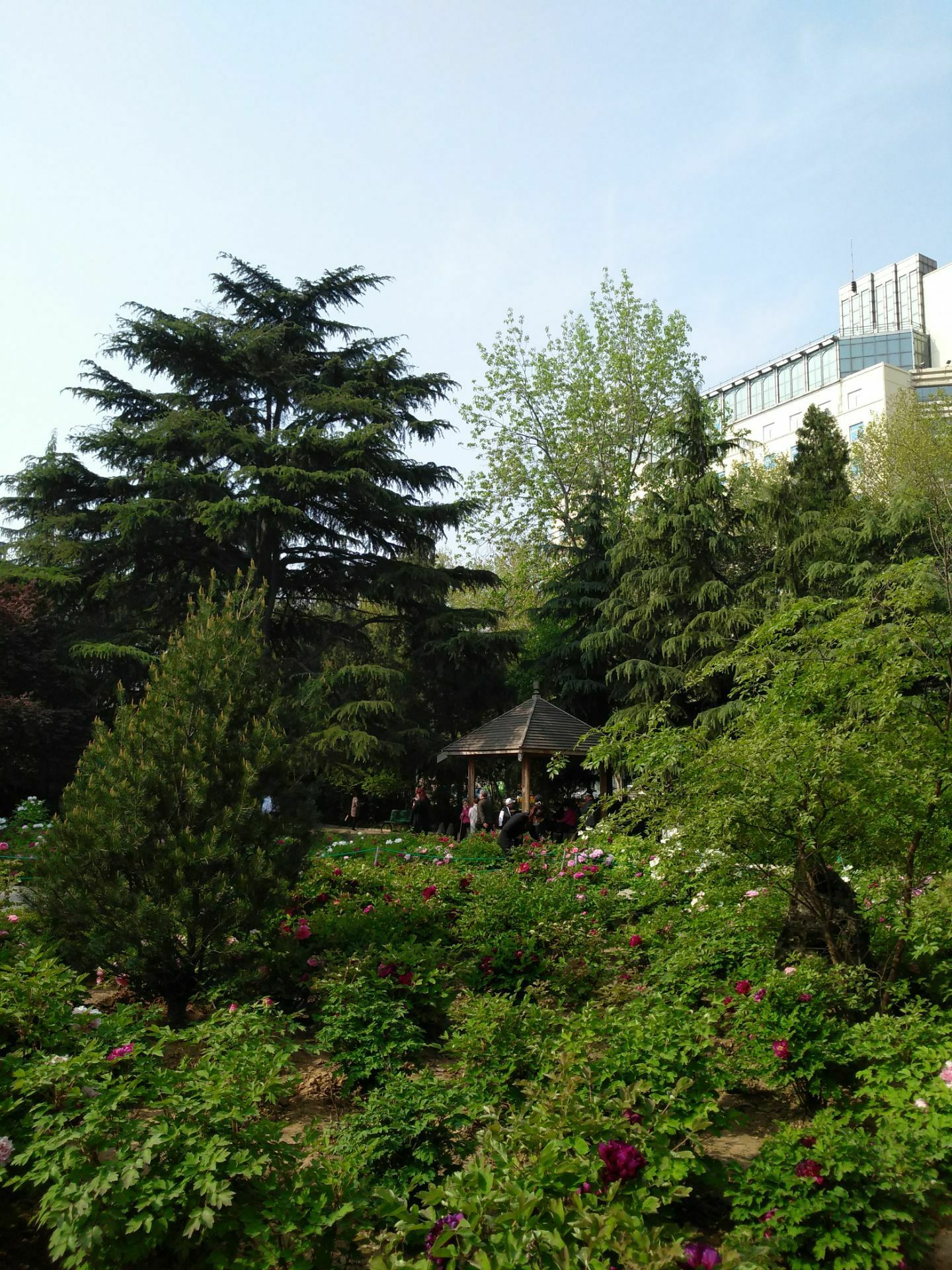 郑州五一公园攻略,郑州五一公园门票/游玩攻略/地址/图片/门票价格