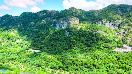 > 長嶼硐天 1/1 aaaa 景區 景點地址台州市溫嶺市長嶼鎮政和路(討揶