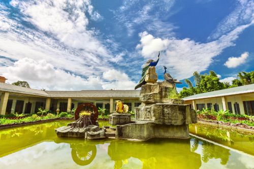 瑞麗瑞麗植物園攻略-瑞麗植物園門票價格多少錢-團購票價預定優惠