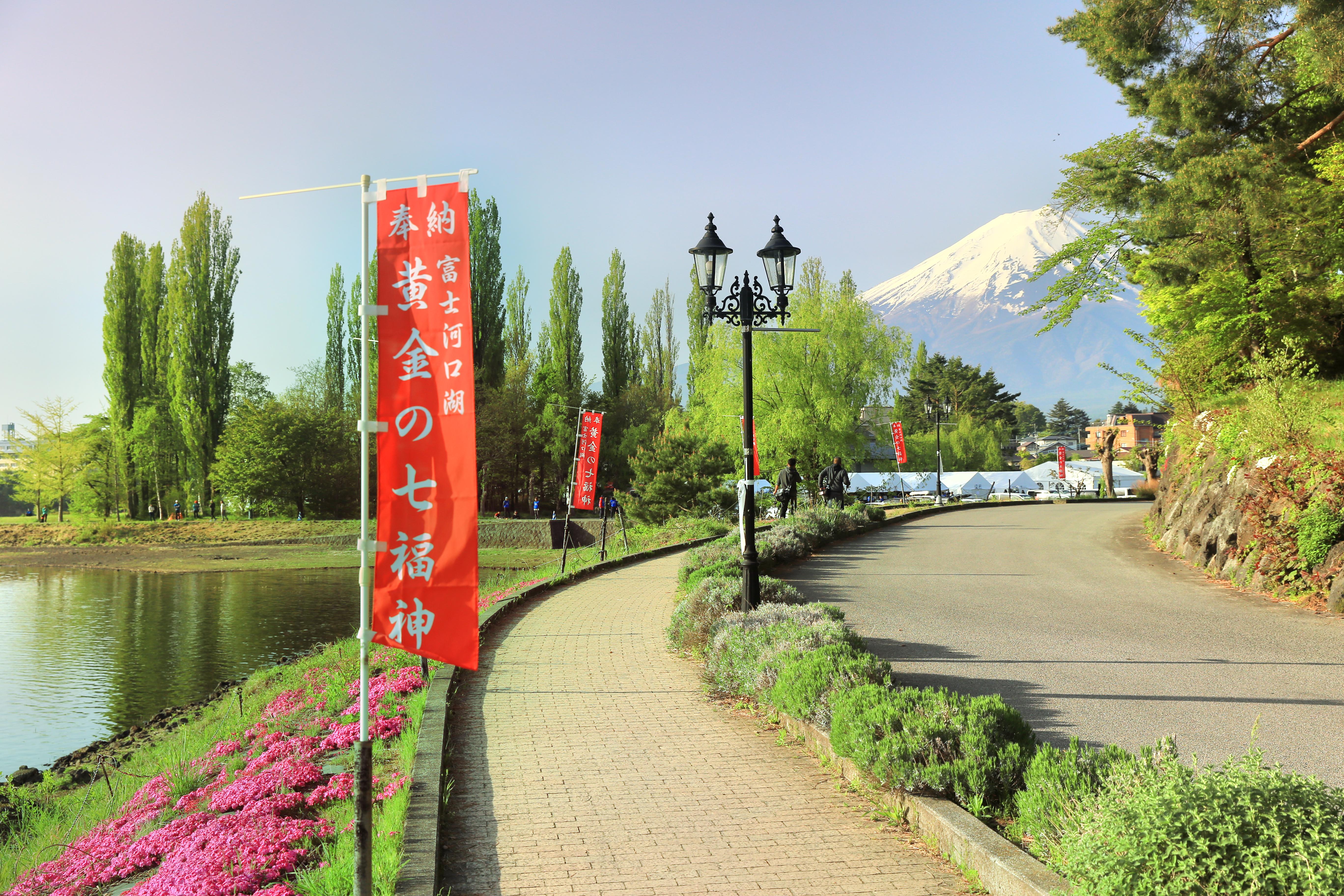 富士河口湖 町大池公园游玩攻略 大池公园门票多少钱 价格表 团购票价预定优惠 景点地址在哪里 图片介绍 参观预约 旅游游览顺序攻略及注意事项 营业时间 携程攻略