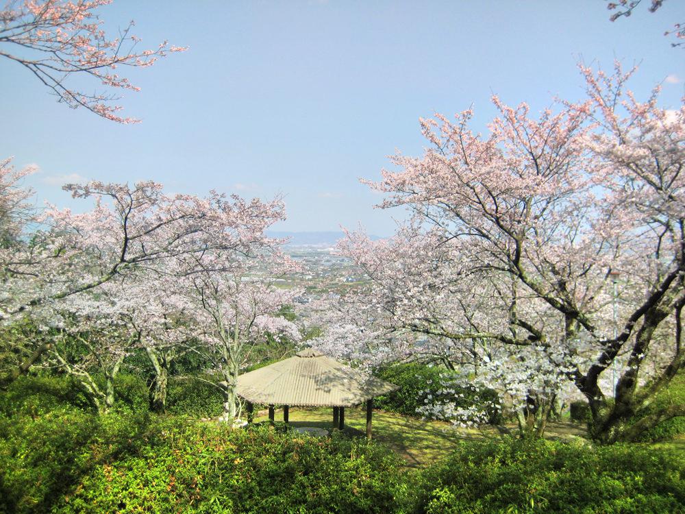 久留米市中野果实园攻略 中野果实园门票价格多少钱 团购票价预定优惠 景点地址图片 携程攻略