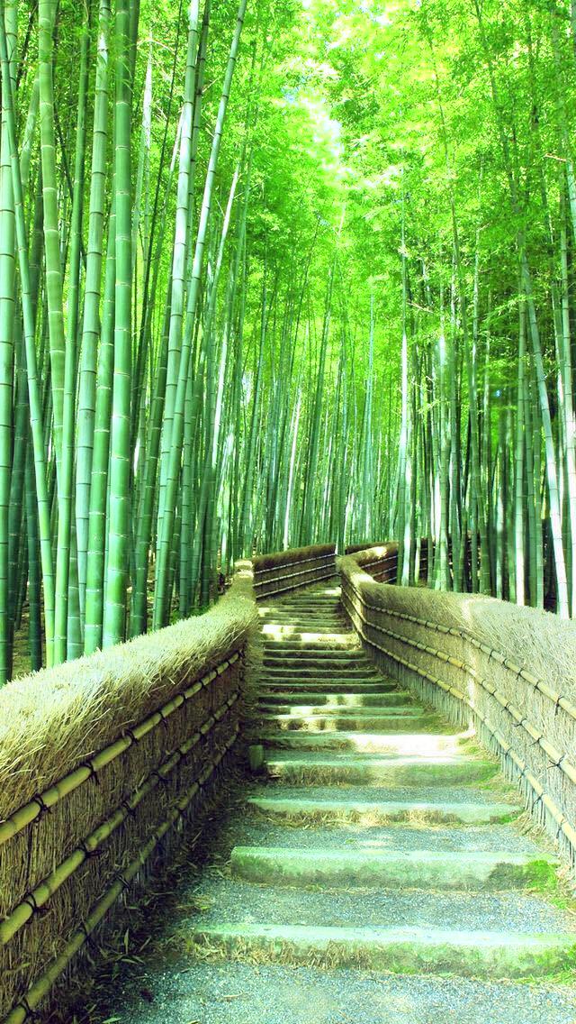 小双桥遗址