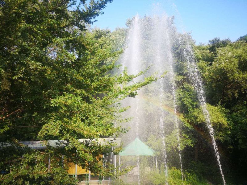 瀋陽盛京薈親子動物樂園攻略-盛京薈親子動物樂園門票價格多少錢-團購