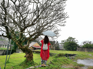 顺化游记图文-那些行走在路上的时光--越南岘港、顺化那一场时光交错的旅行