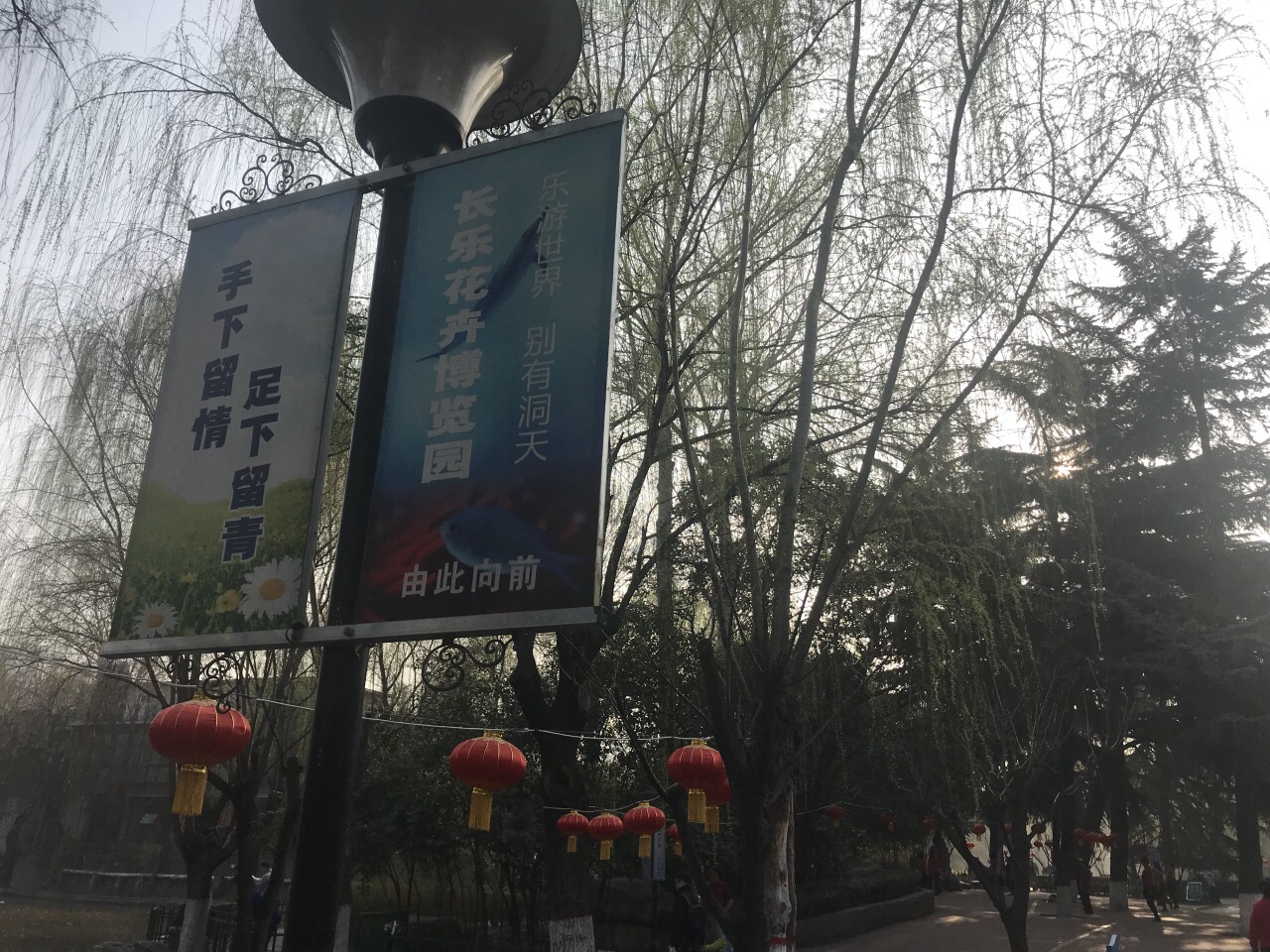 摩天轮回来了！北京龙潭中湖公园今天开园，免费！_京报网