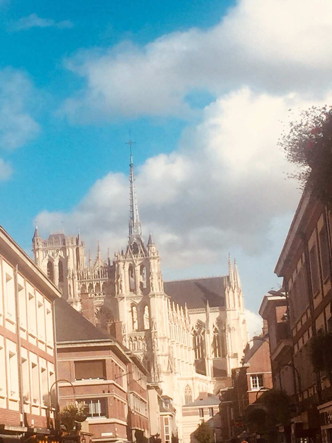 2022儒勒·凡尔纳故居游玩攻略,...大区索姆省的省会和该省人...【去哪儿攻略】