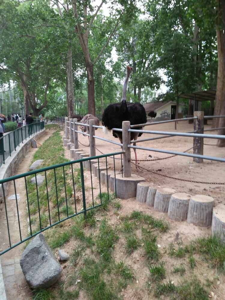 濟南動物園jinan zoo