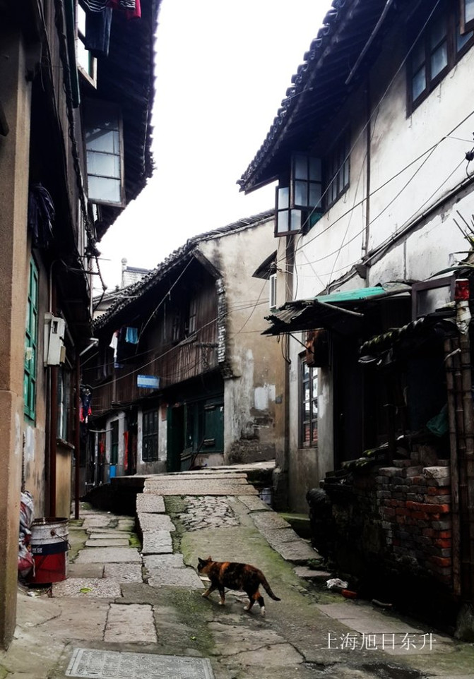 一座隐藏在上海国际旅游度假区内的中国传统