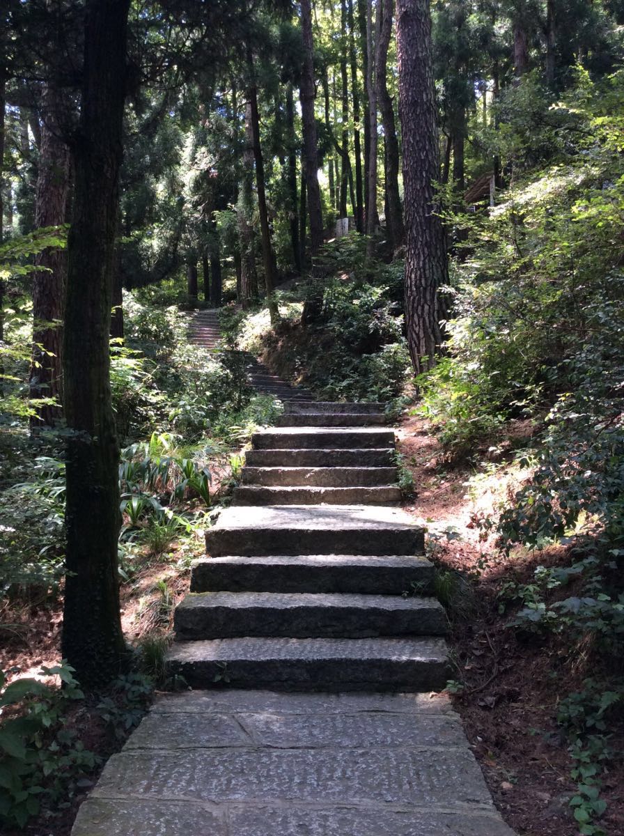 衡山旅游攻略一日游(衡山旅游攻略一日游坐缆车上下)