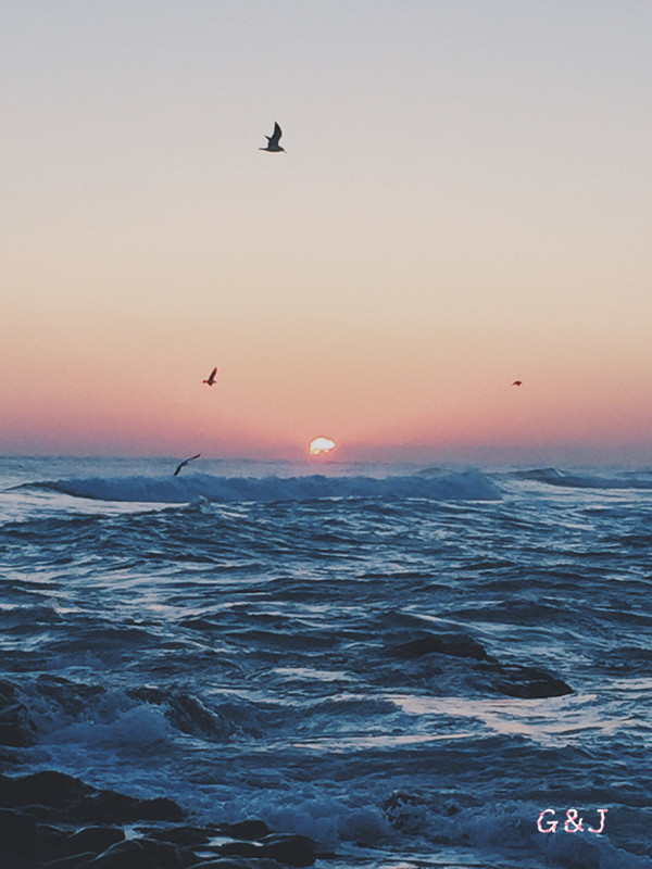 G和J的韩国Healing旅行