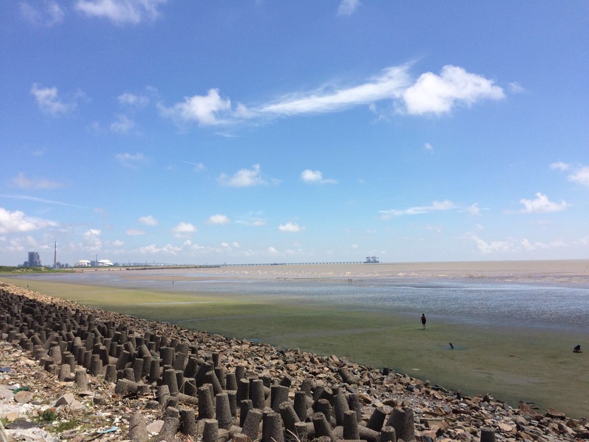 【携程攻略】上海金山嘴渔村好玩吗,上海金山嘴渔村景点怎麼样_点评