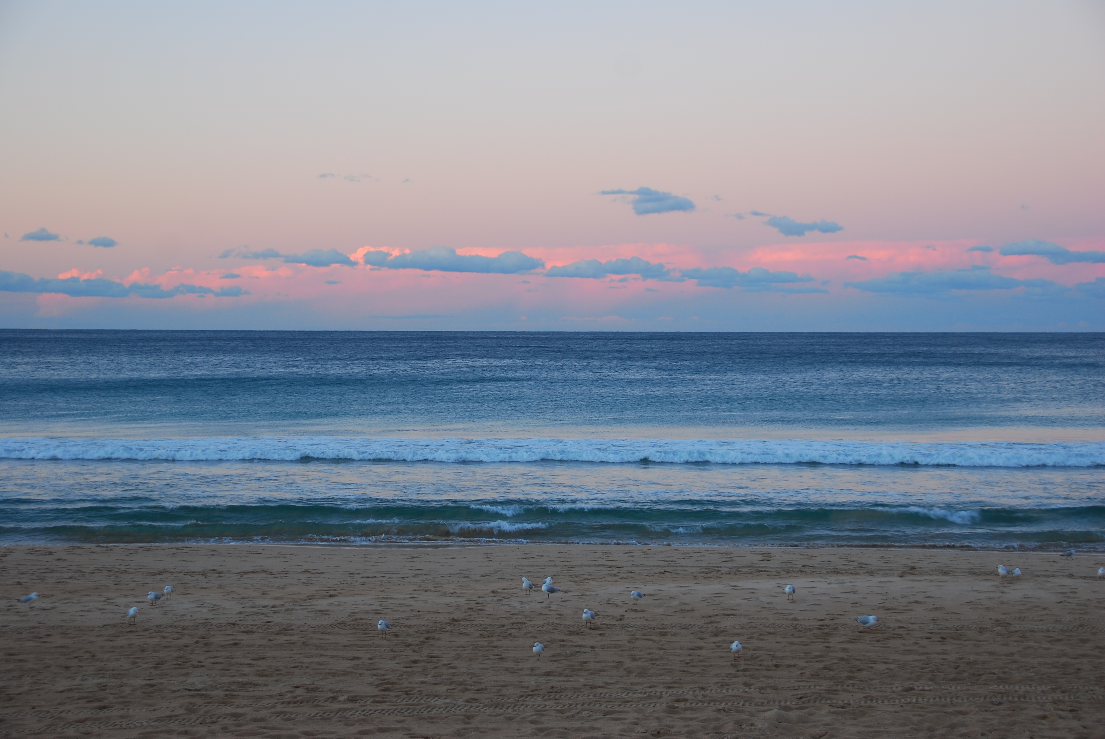 【携程攻略】悉尼曼利海滩适合朋友出游旅游吗,曼利海滩朋友出游景点