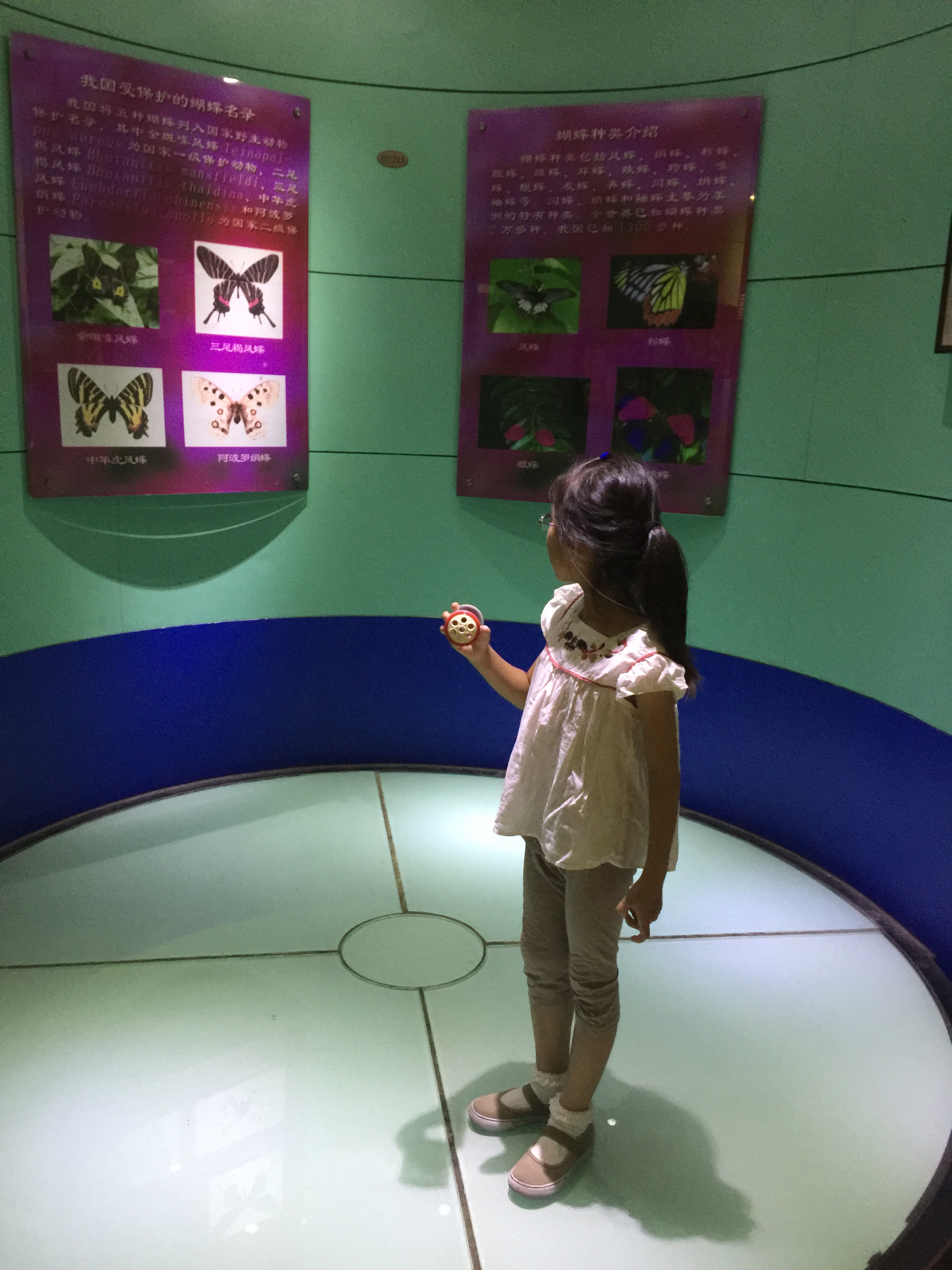 2021上海昆虫博物馆-旅游攻略-门票-地址-问答-游记点评，上海旅游旅游景点推荐-去哪儿攻略