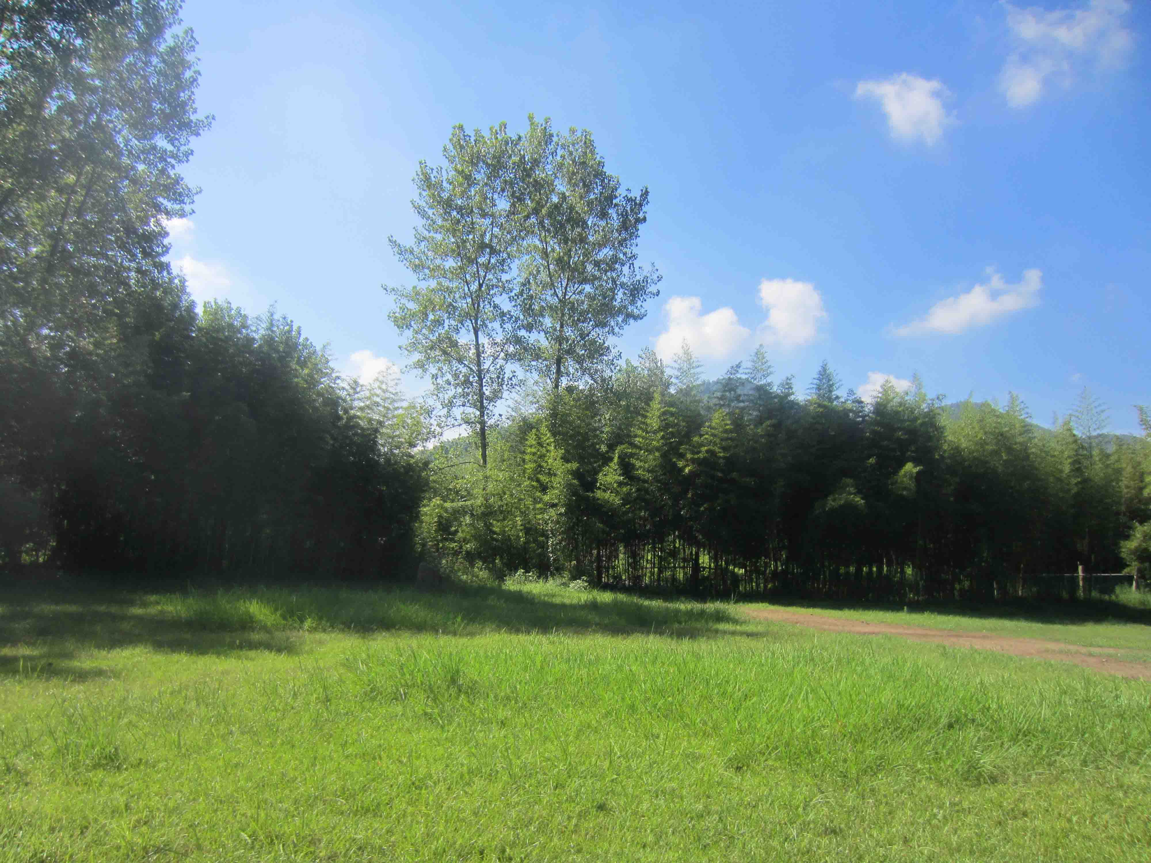 不一 各式各样的鹅卵石 不愧被誉为"天然鹅卵石沙滩" 在草地的衬托下