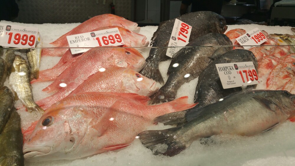 悉尼魚市sydney fish market