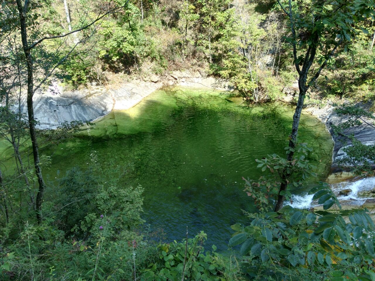 佛坪自然保护区