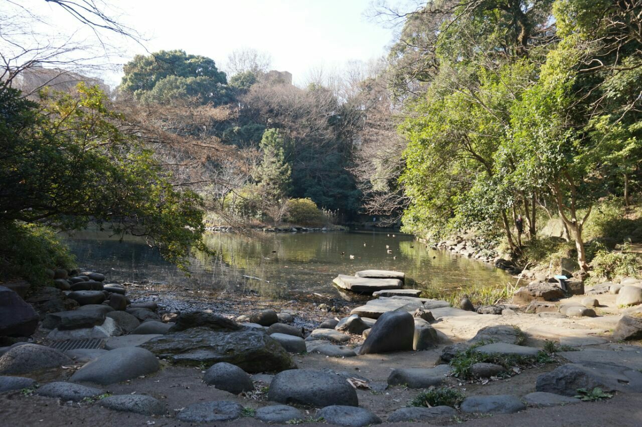 東京大學