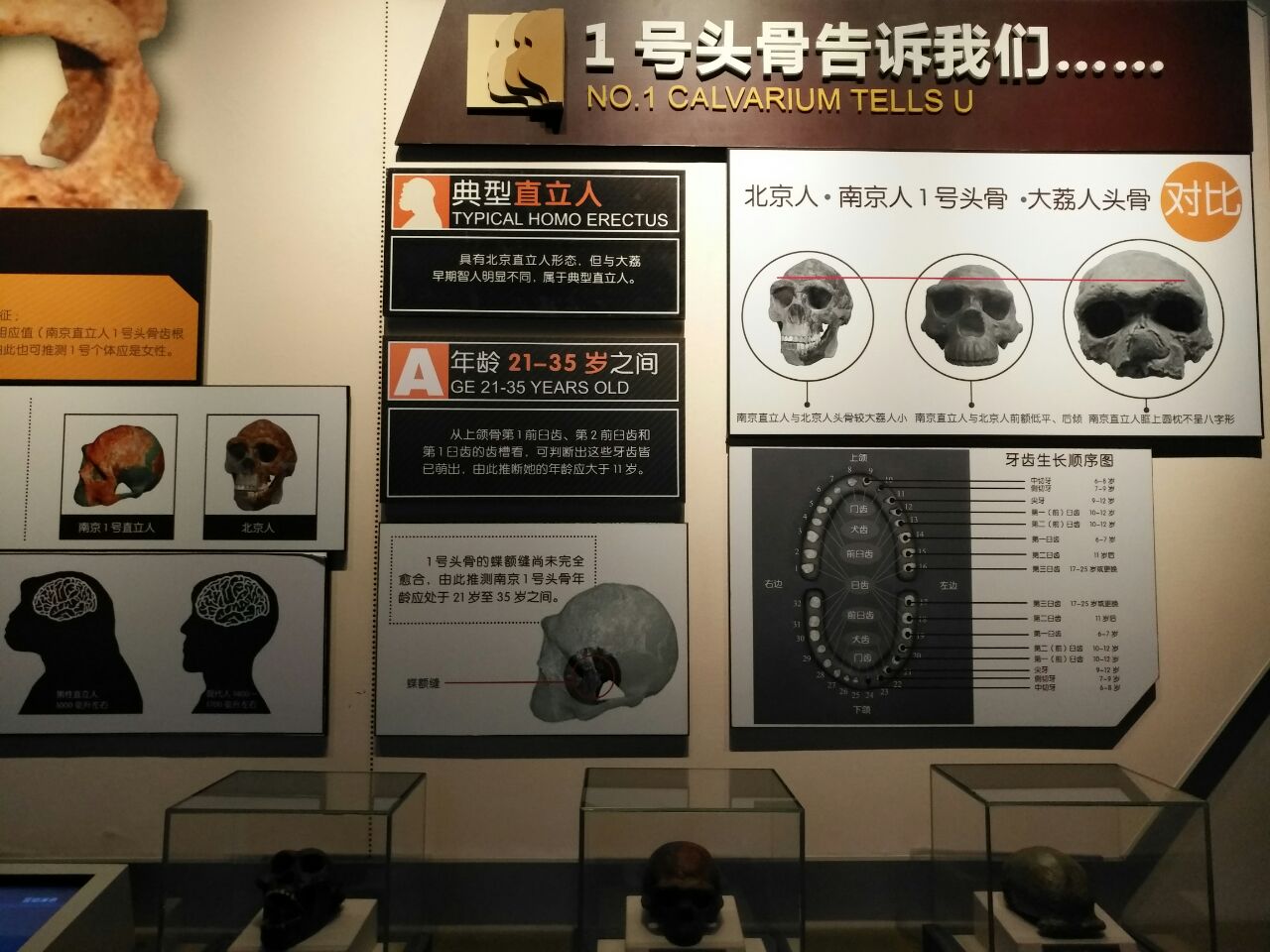南京直立人化石遗址博物馆位于汤山温泉旅游度假区内是南京最有特色