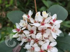 【携程攻略】中山中山影视城附近景点推荐_中