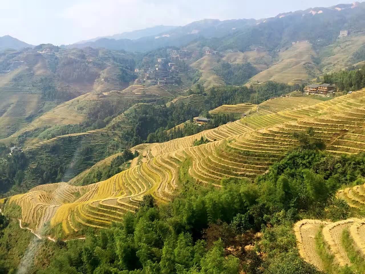 平安壮族梯田旅游景点攻略图