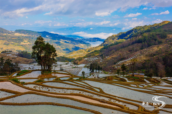 【云南】欢喜红河,与哈尼族人民载歌载舞