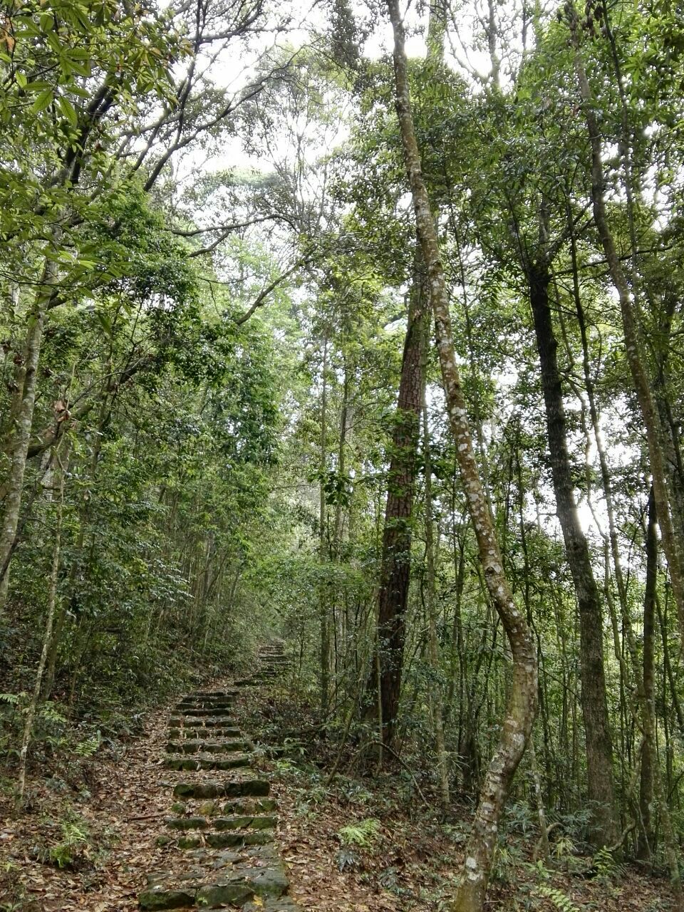 牛姆林自然保护区图片