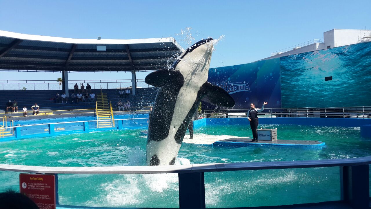 迈阿密水族馆