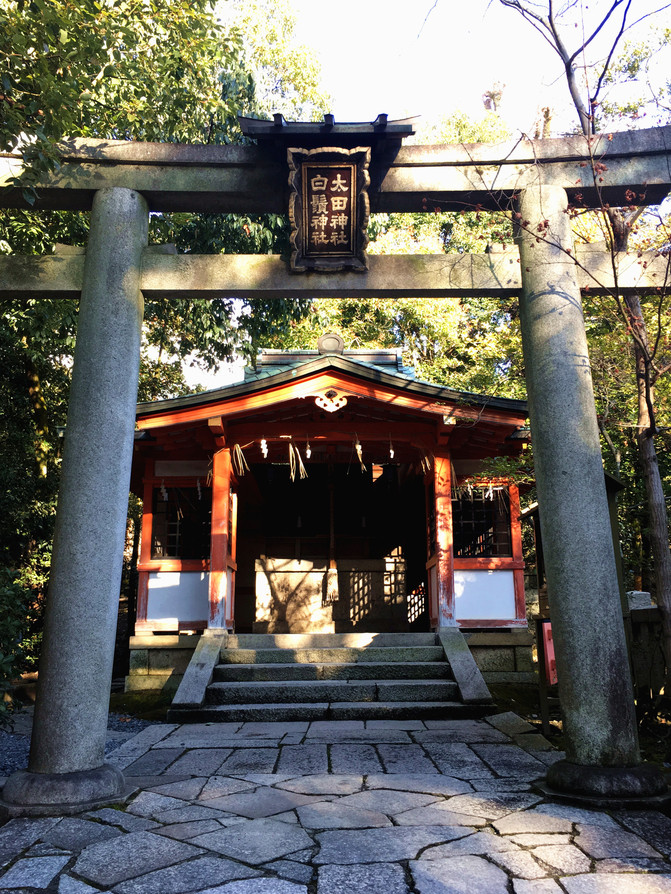 霓虹国初体验冬の回忆 名古屋 京都 白滨 奈良 神户 大阪 京都游记攻略 携程攻略