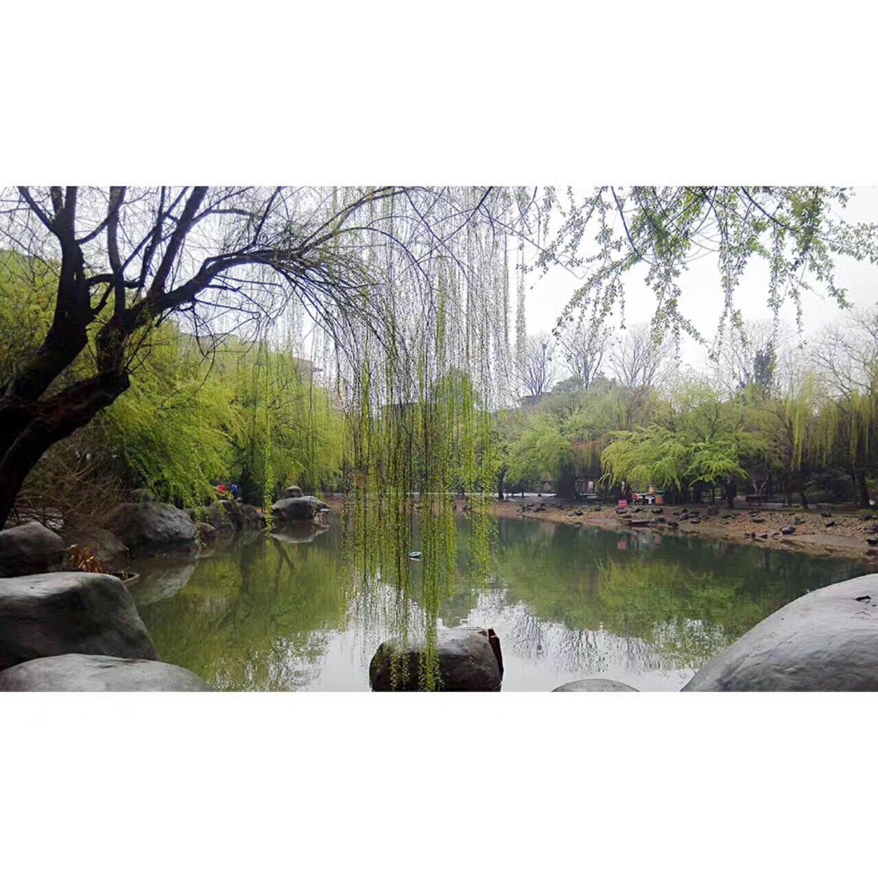 长沙桂花公园图片