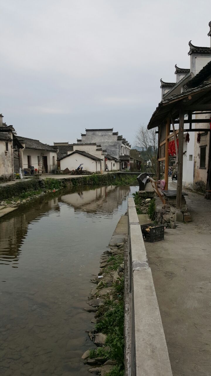 2019盧村_旅遊攻略_門票_地址_遊記點評,黟縣旅遊景點推薦 - 去哪兒攻