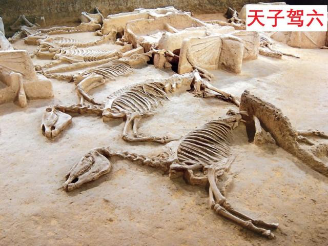 华夏之源 牡丹花城--九朝古都洛阳