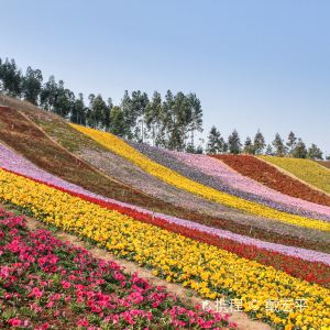厦门龙谷休闲山庄攻略,龙谷休闲山庄门票\/游玩