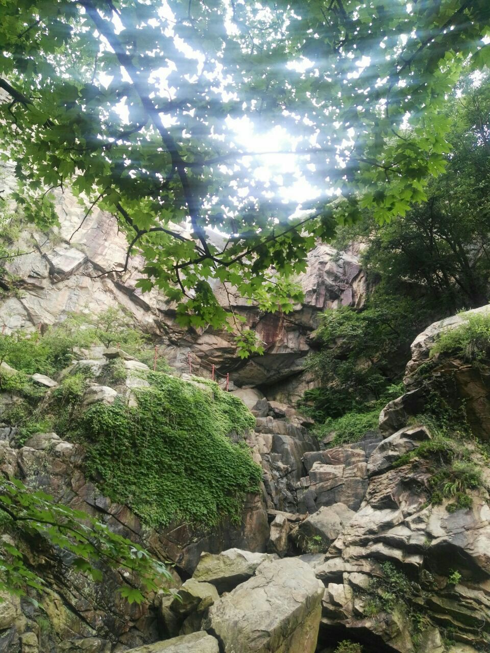 连云港云龙涧原生态风景区