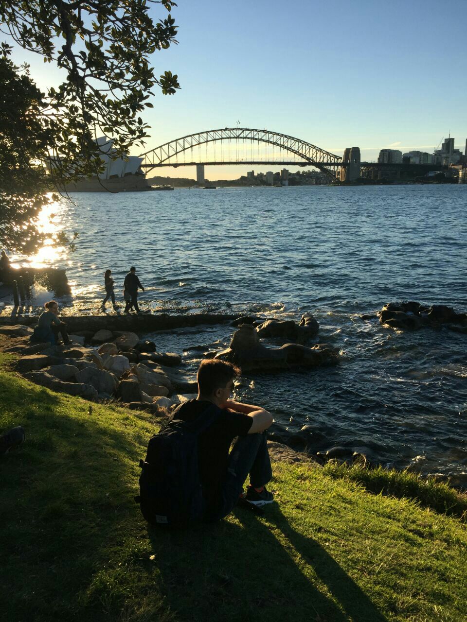 麦考利夫人座椅