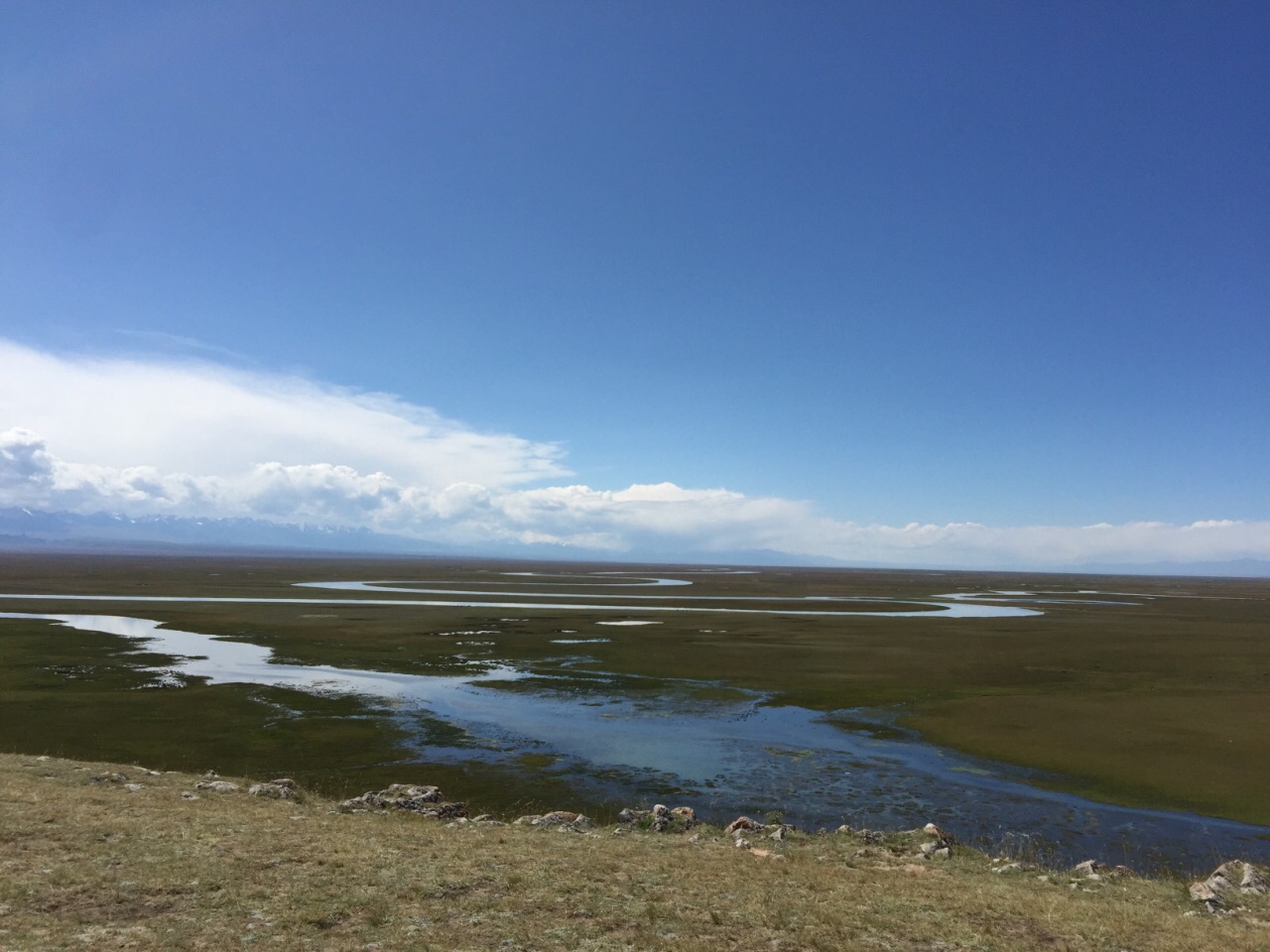 巴音布魯克天鵝湖