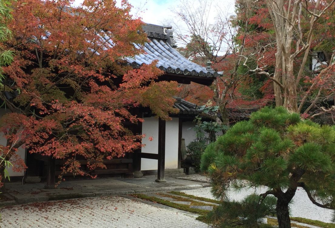 京都京都府龙安寺图片