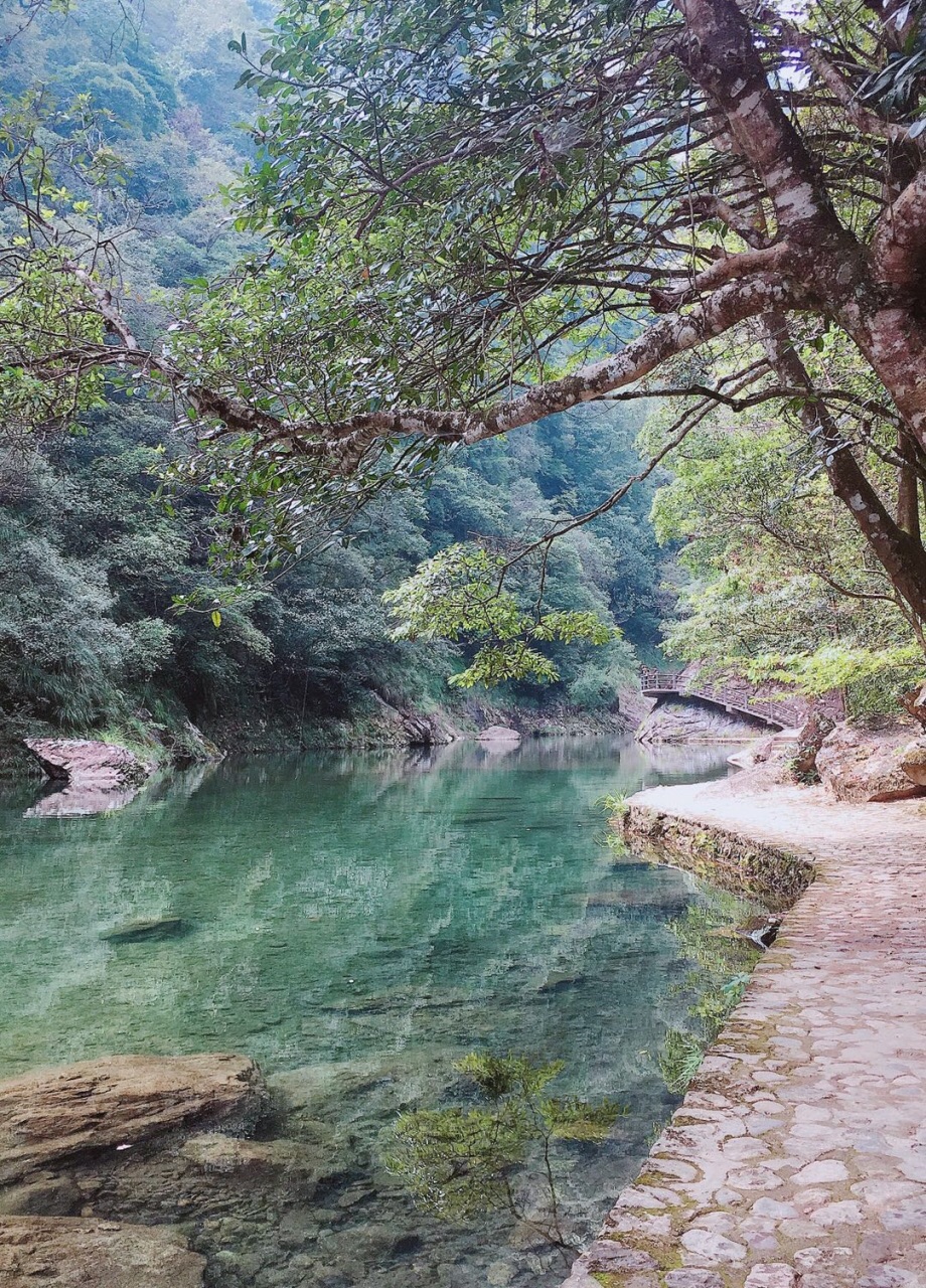 文成铜铃山森林公园图片