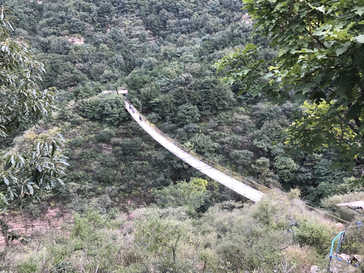 去的有點晚了,有的地方沒去成,森林公園確實很大,不坐索道走路很累啊