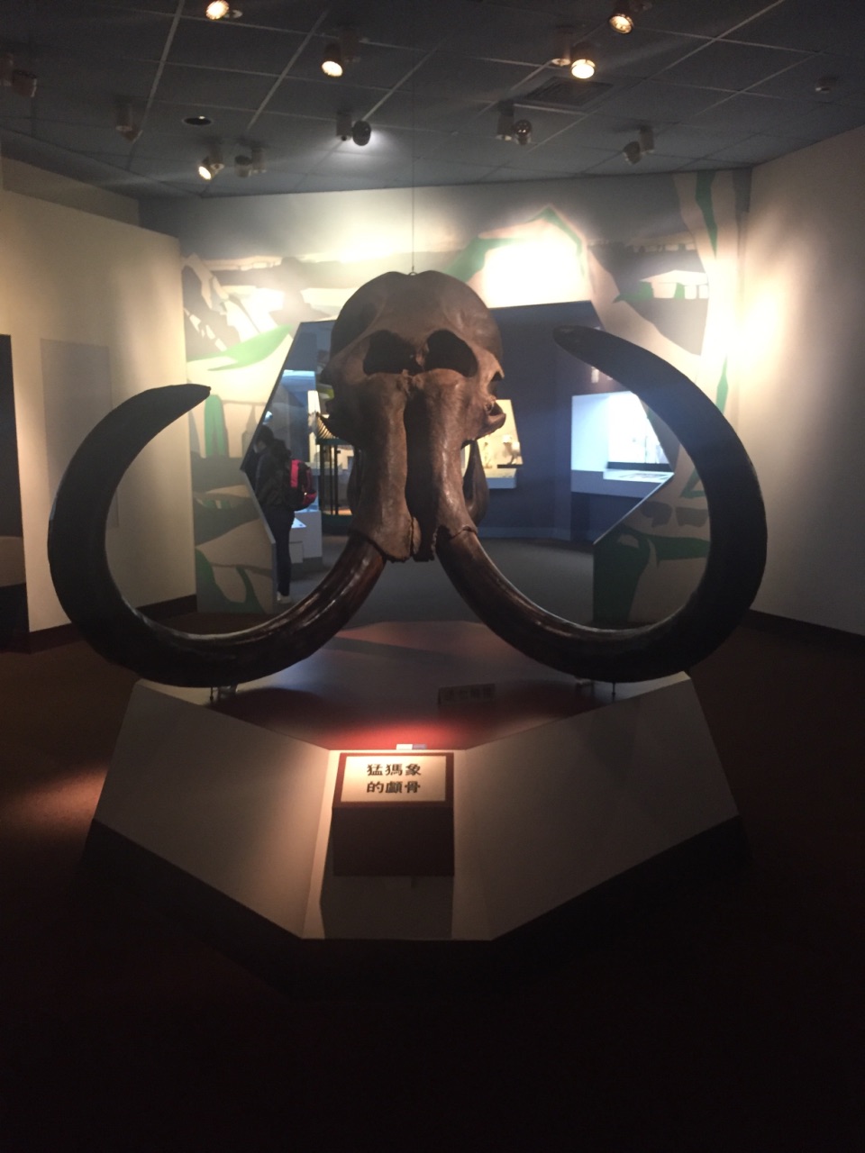 2020国立自然科学博物馆-旅游攻略-门票-地址-问答-游记点评,那不勒斯