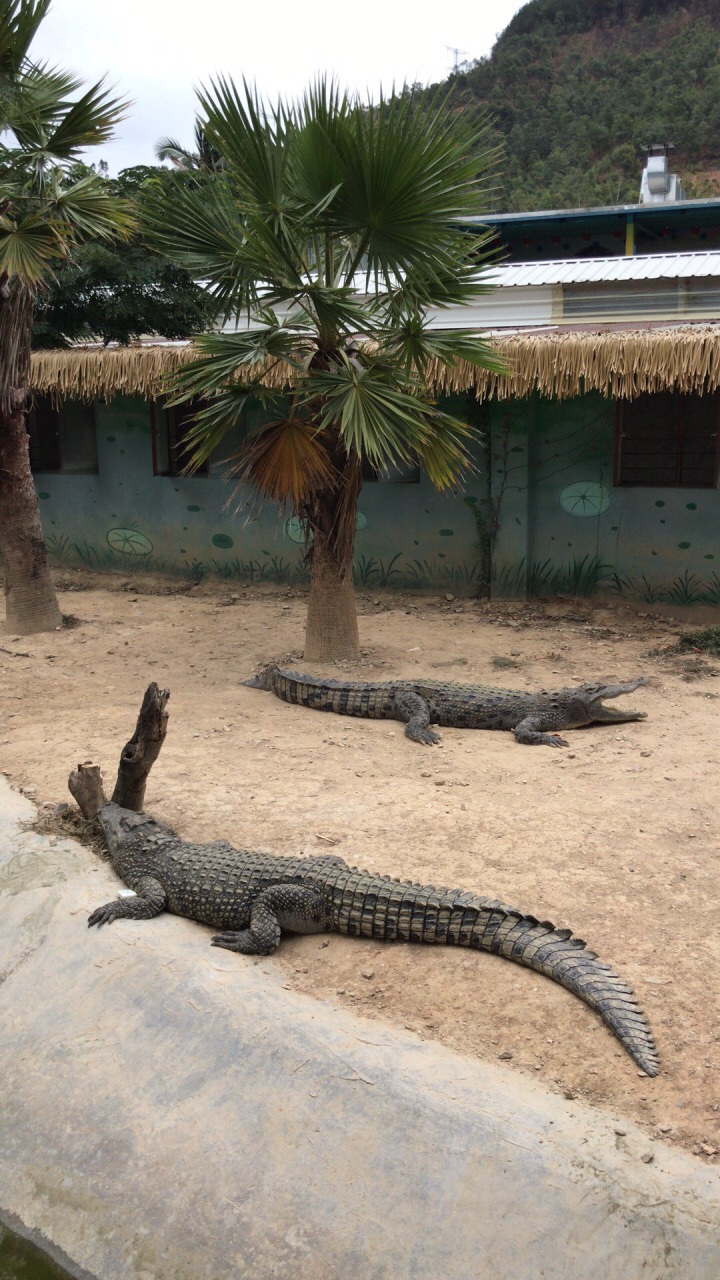 泉州海丝野生动物世界