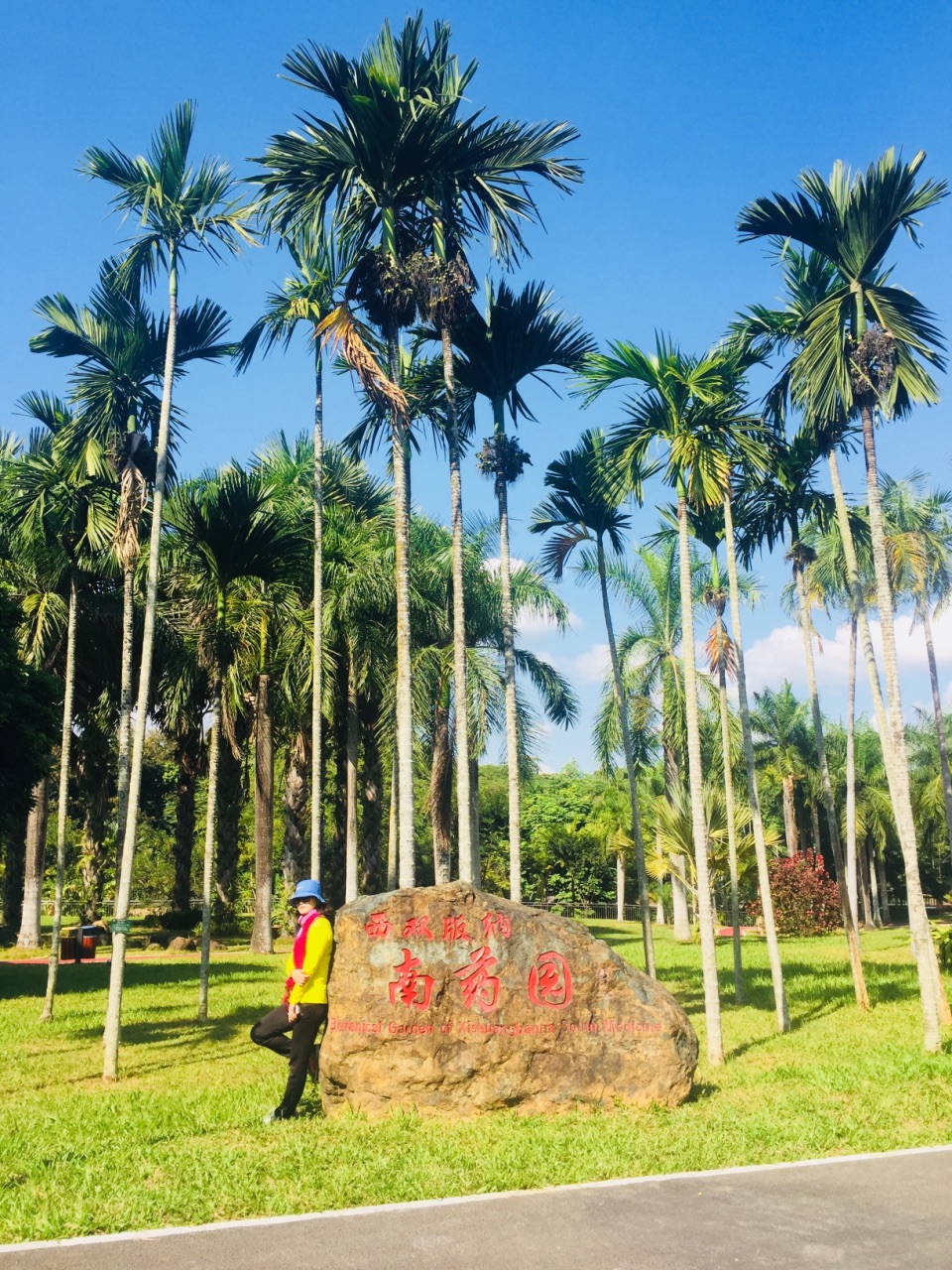 景洪西双版纳南药园景区好玩吗,景洪西双版纳南药园景