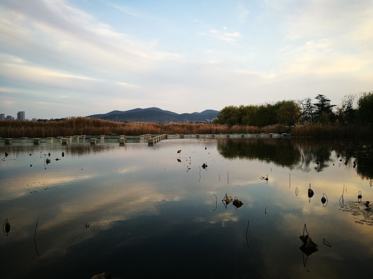 徐州雲龍湖好玩嗎,徐州雲龍湖景點怎麼樣_點評_評價【攜程攻略】