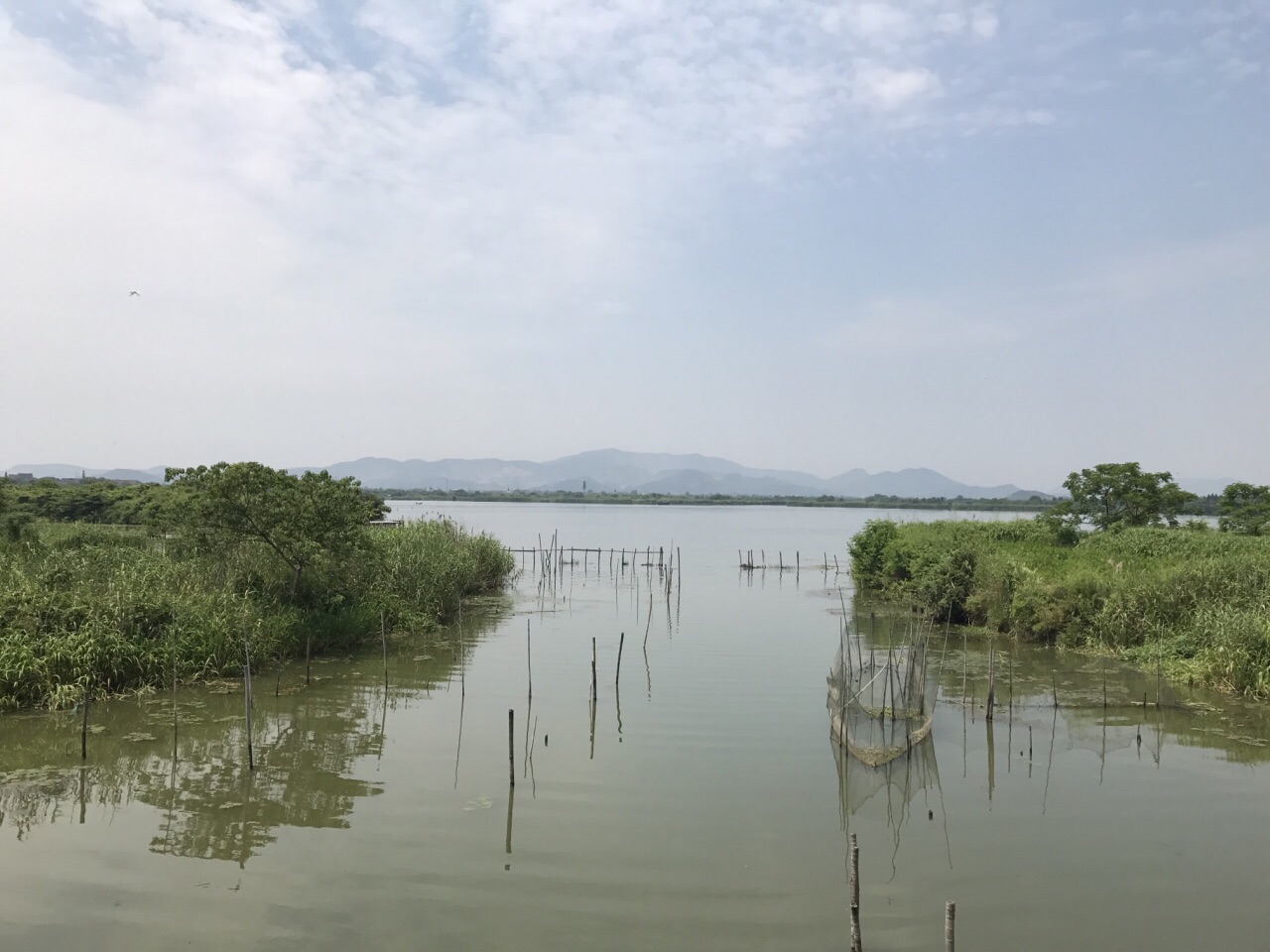 德清下渚湖溼地公園