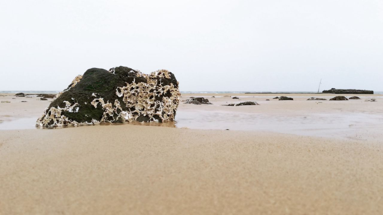 2019貝殼沙灘_旅遊攻略_門票_地址_遊記點評,潿洲島旅遊景點推薦 - 去