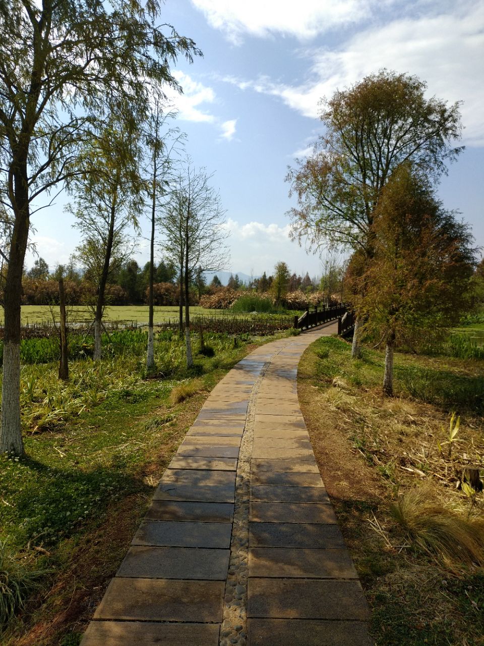 八仙岭郊野公园