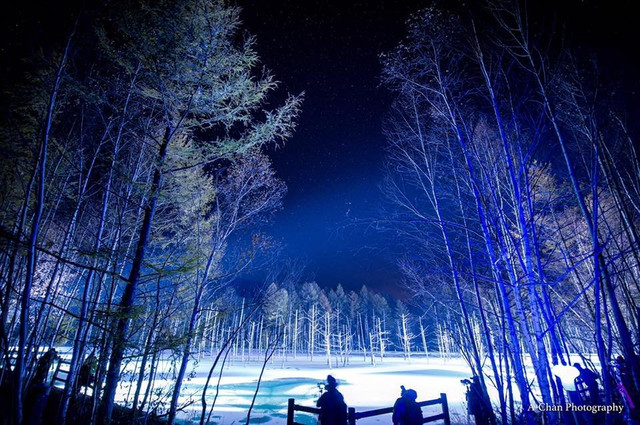 白雪北海道美瑛東川三日兩夜絕景行程 携程氢气球