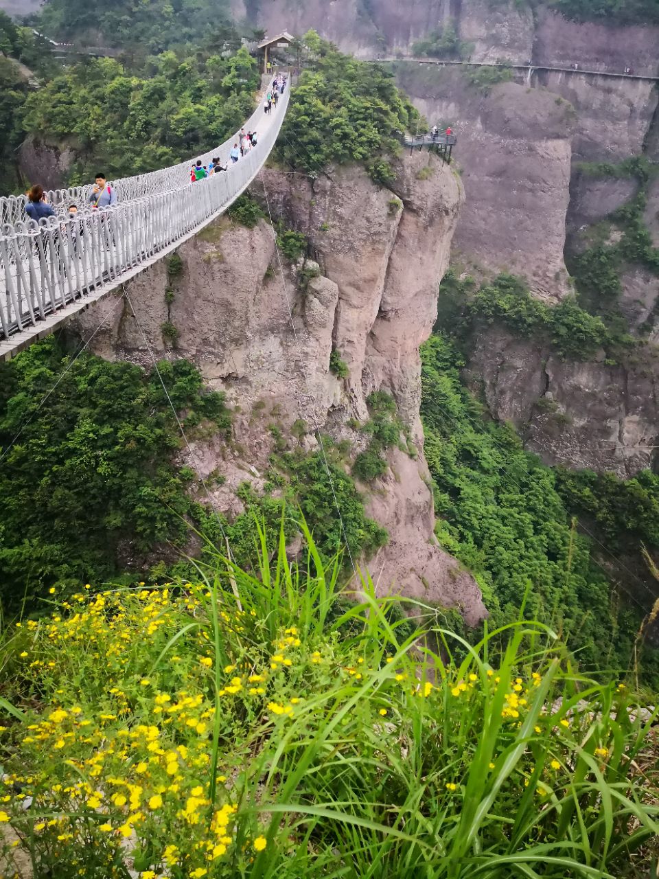 2019神仙居_旅游攻略_门票_地址_游记点评,仙居旅游景点推荐 - 去哪儿