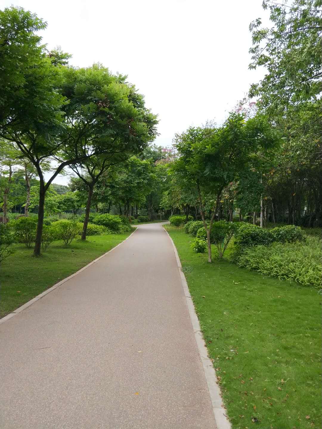 大沙河溼地公園