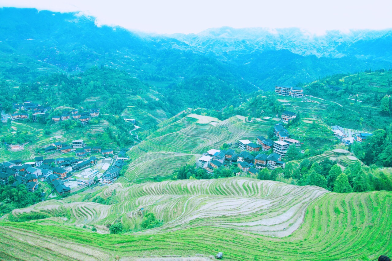 2019金坑梯田_旅遊攻略_門票_地址_遊記點評,龍脊梯田旅遊景點推薦