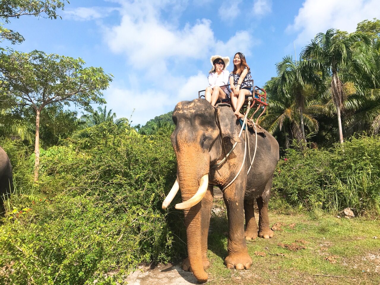 苏梅岛纳芒探险公园骑大象好玩吗,苏梅岛纳芒探险公园骑大象景点怎么样_点评_评价【携程攻略】